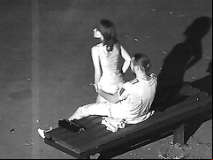 Spying on a wedding guests having sex on a public park bench